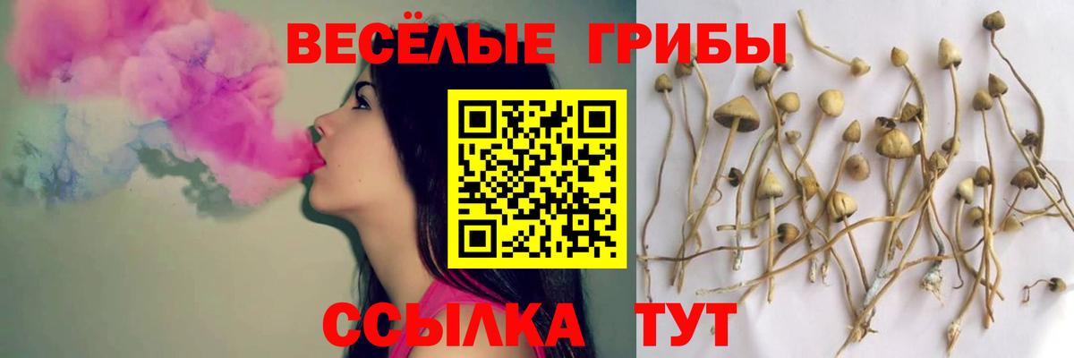 Псилоцибиновые грибы Cubensis  Псилоцибиновые грибы MAGIC MUSHROOMS  Вход с VPN  Сарапул 